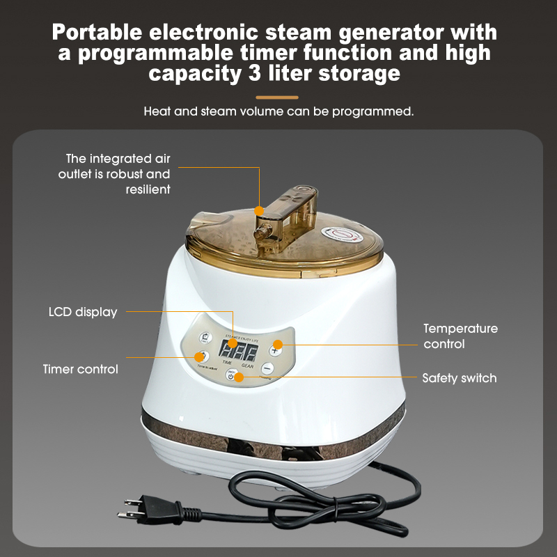 Detox Therapy Full Size 1 Person Full Body Weight Loss Steam Sauna Tent 1500W