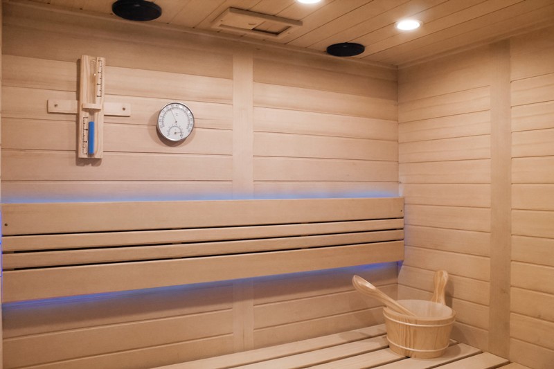 Outdoor Saunas Red Cedar Traditional Sauna Room 2 Person Panoramic Sunroof Sauna Room